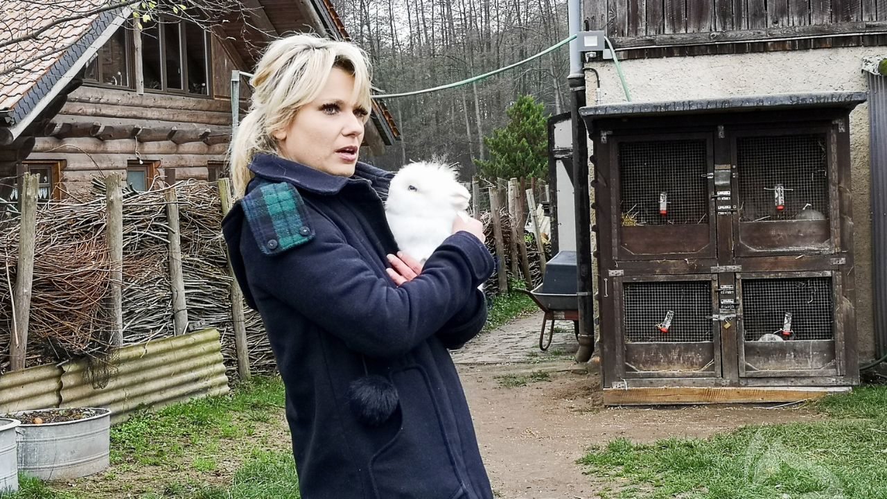 joanna jambor biographie